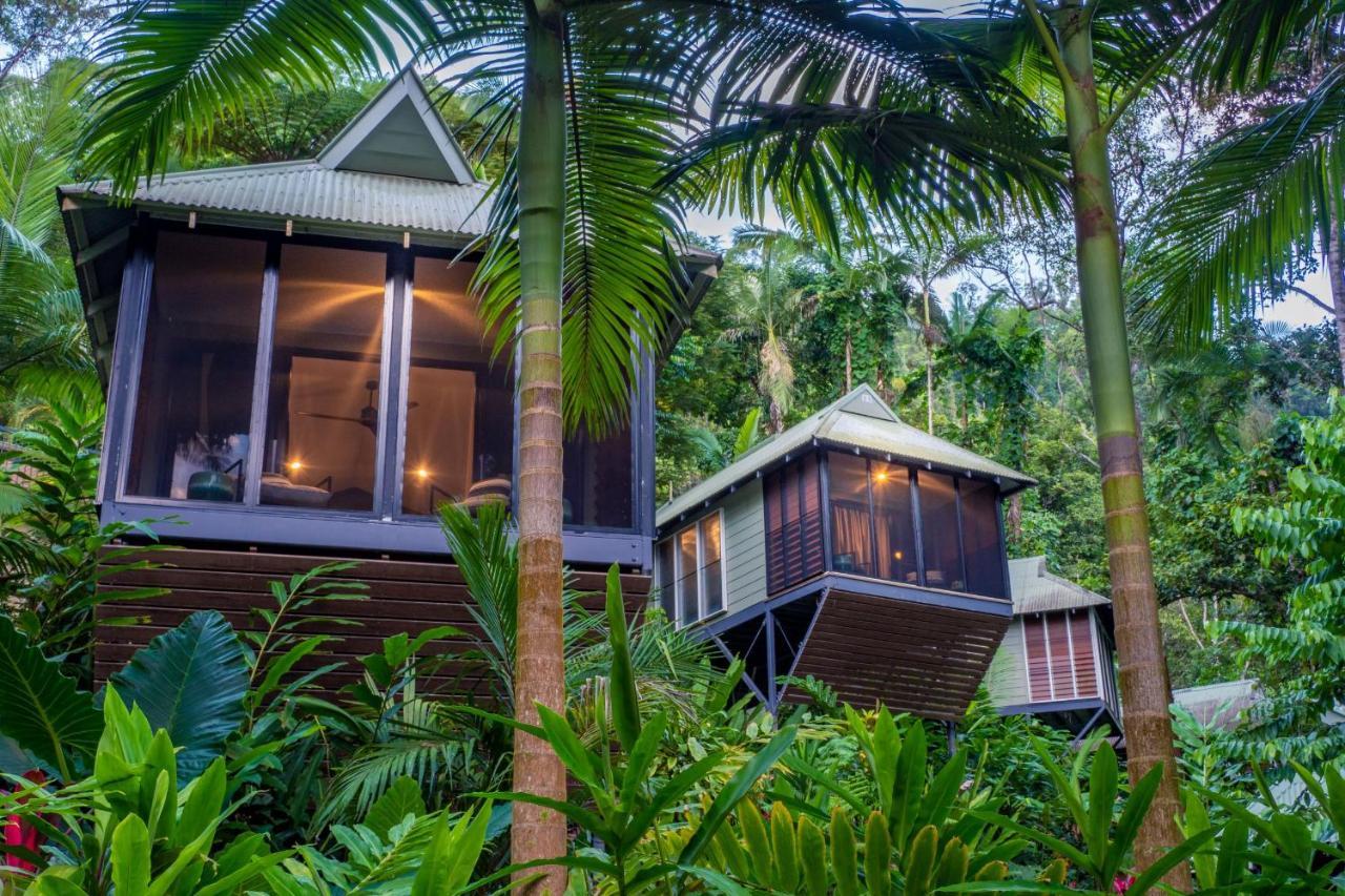 Daintree Ecolodge 外观 照片