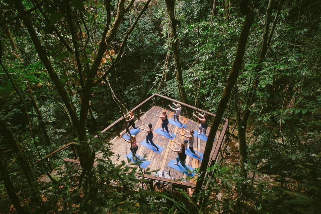 Daintree Ecolodge 外观 照片
