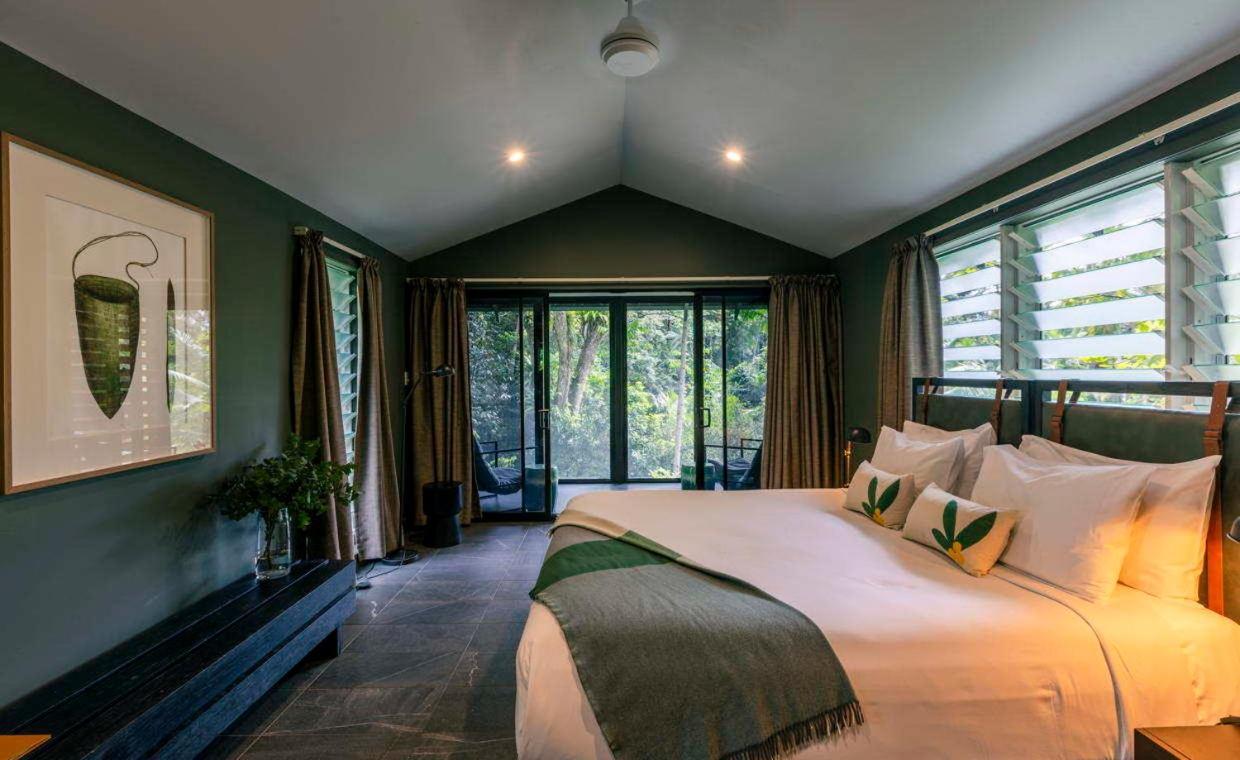 Daintree Ecolodge 外观 照片