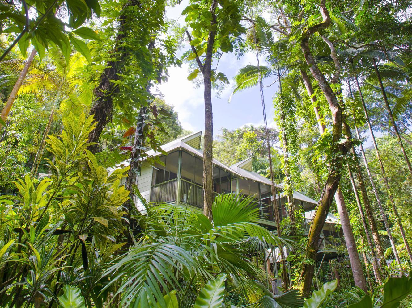 Daintree Ecolodge 外观 照片