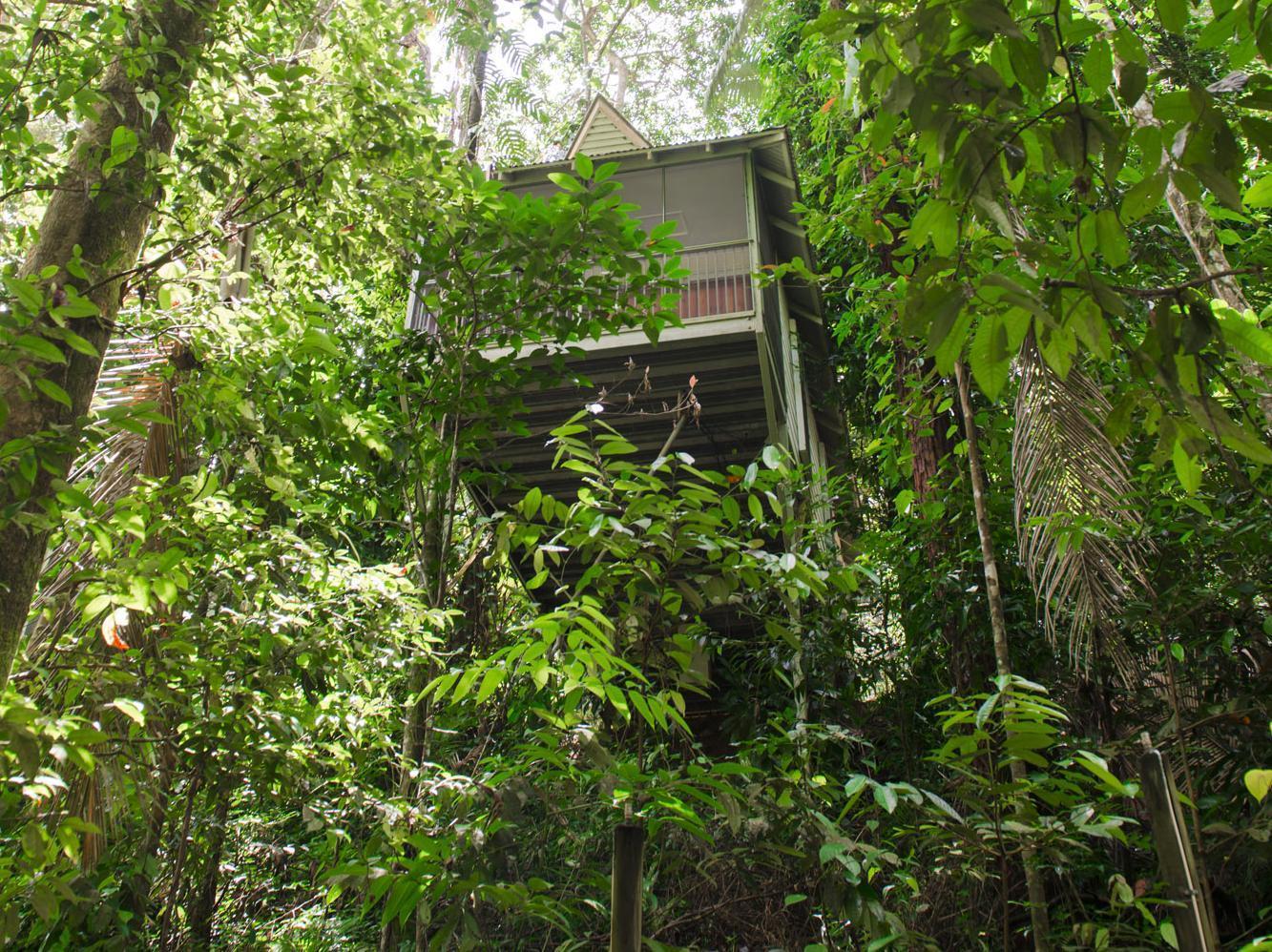 Daintree Ecolodge 外观 照片