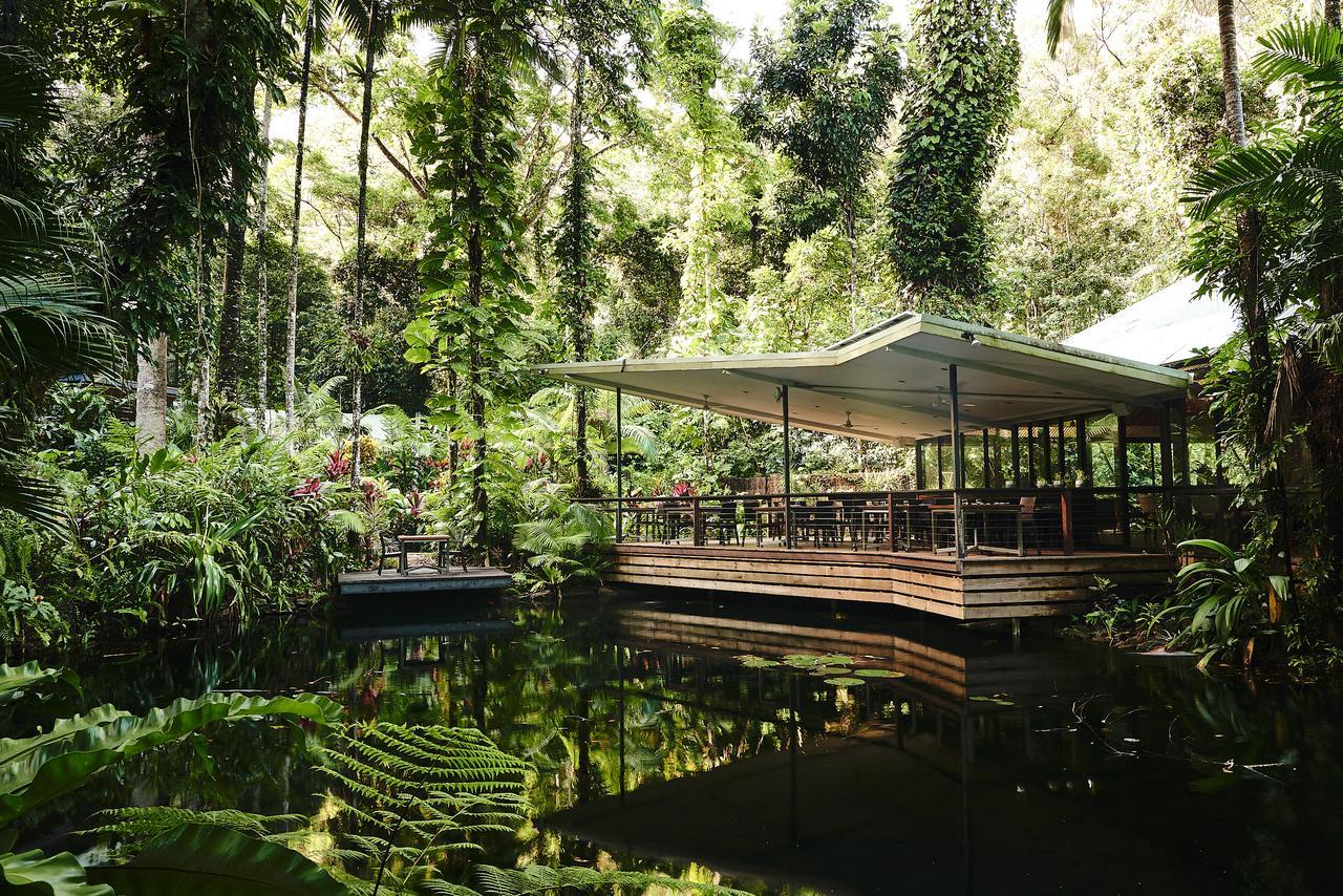 Daintree Ecolodge 外观 照片