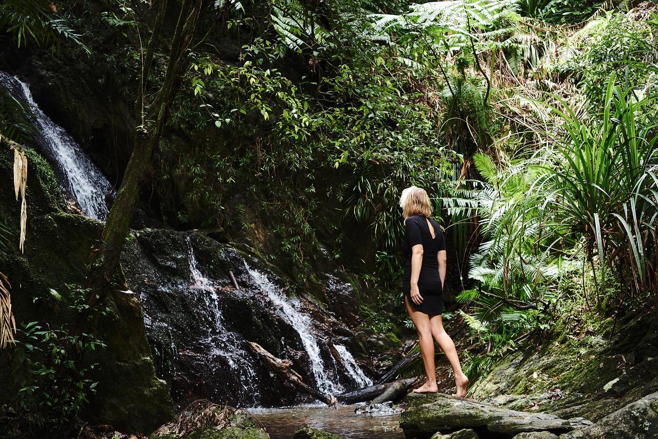 Daintree Ecolodge 外观 照片
