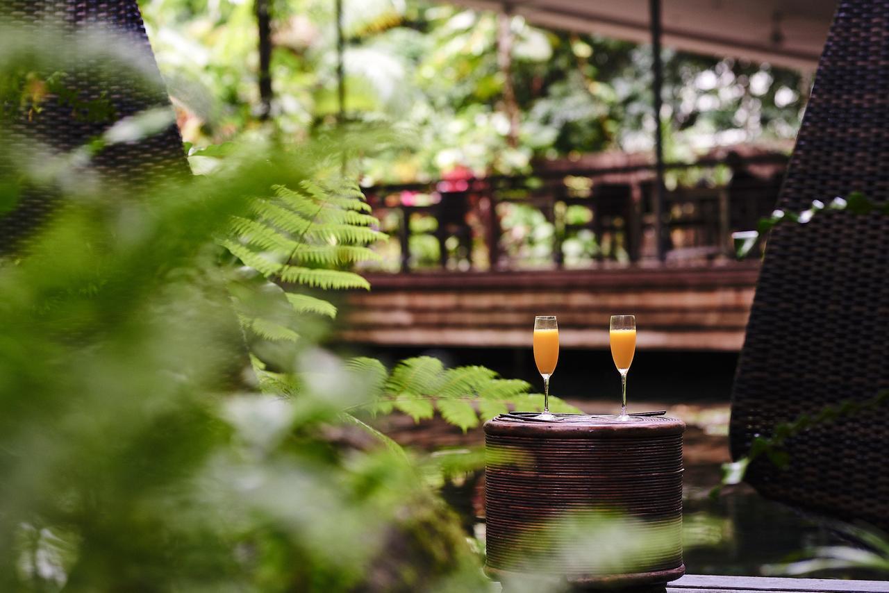 Daintree Ecolodge 外观 照片