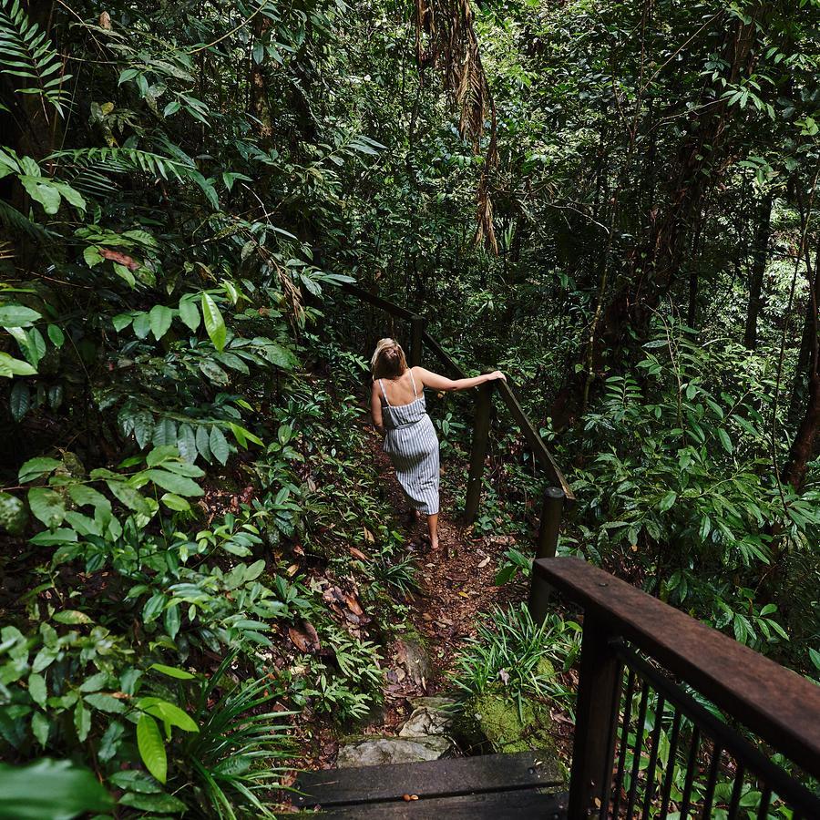 Daintree Ecolodge 外观 照片
