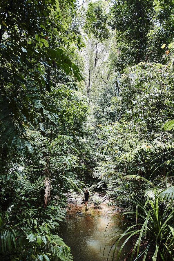 Daintree Ecolodge 外观 照片