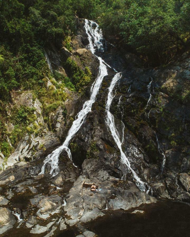 Daintree Ecolodge 外观 照片