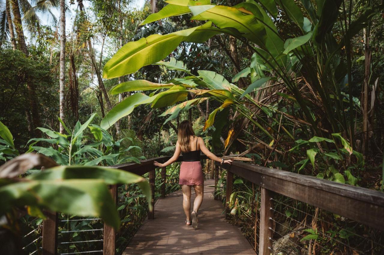 Daintree Ecolodge 外观 照片