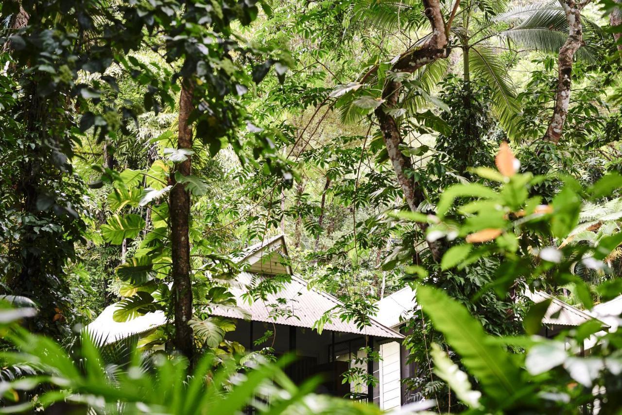 Daintree Ecolodge 外观 照片