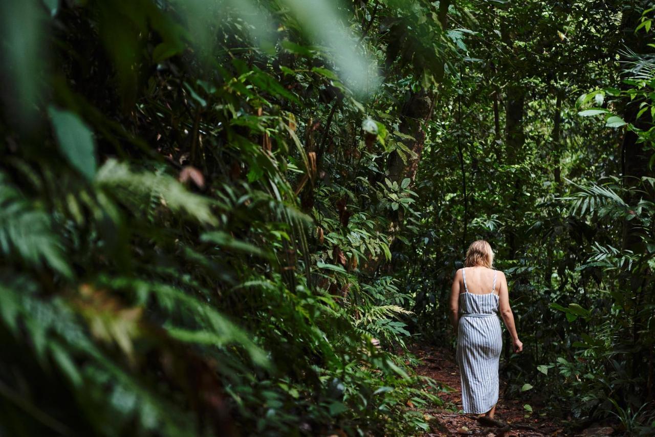 Daintree Ecolodge 外观 照片